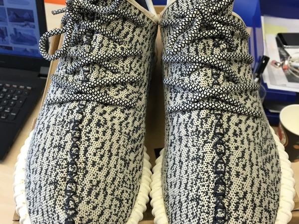 turtle dove 350s