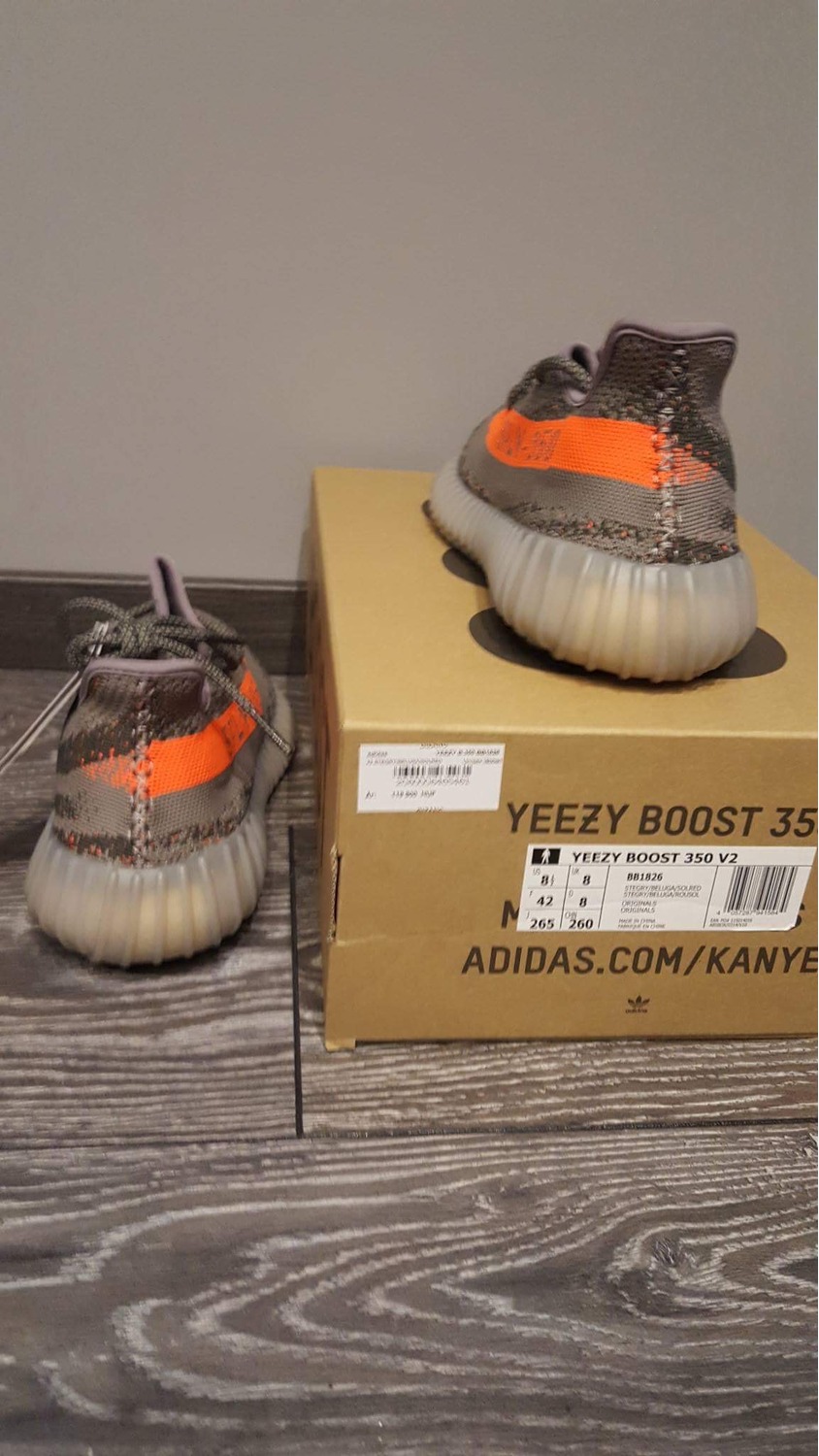 Adidas Yeezy Boost 350 V2 Beluga Size 14 with Receipt