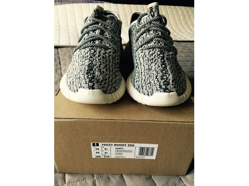 Yeezy Boost 350 Turtle Dove UA Replica by Edith Sneaker Review