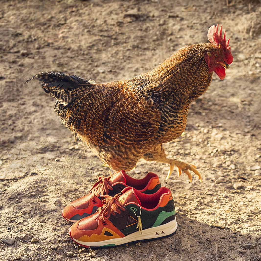 le coq sportif gallo